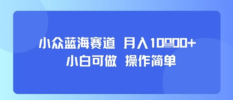 小众蓝海赛道，小白可做，操作简单，每天30分钟，月入1W+-七七项目网