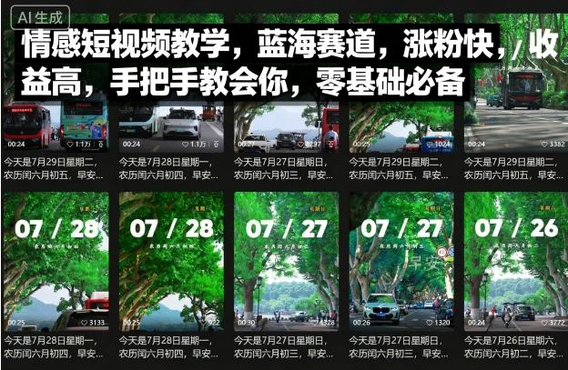 情感短视频教学，蓝海赛道，涨粉快，收益高，手把手教会你，零基础必备-七七项目网