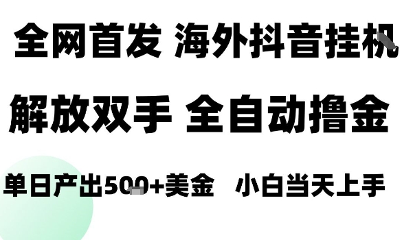 海外抖音无人直播，单日产出1.5k+，长期稳定，新手可玩，无脑操作【揭秘】-七七项目网