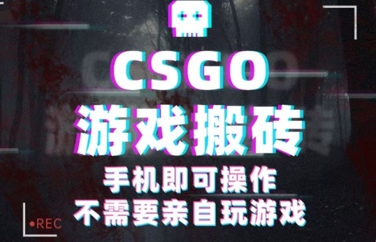 CSGO游戏挂G捡漏,单日扫货5张+,年底小高峰上车可吃肉,手机即可操作,兼职副业创业网创【揭秘】-七七项目网