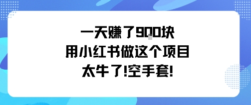 一天挣了9张用小红书做这个项目太牛了，空手套-七七项目网