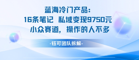 蓝海项目:16条笔记私域变现9750米小众赛道操作的人不多-七七项目网