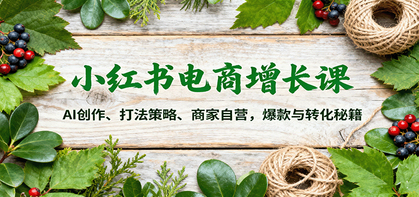 小红书电商增长课:AI创作、打法策略、商家自营,爆款与转化秘籍-七七项目网