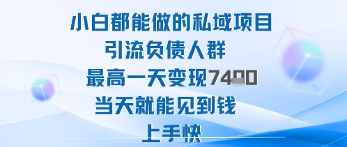 2025年小白都能做的私域项目引流负债人群最高一天变现1k+高变现难度低当天就能见到钱上手快-七七项目网
