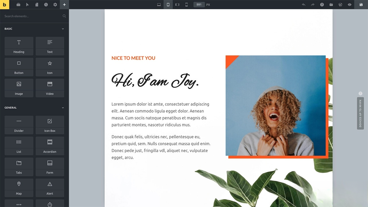 WordPress主题Bricks v1.9 破解版-七七项目网