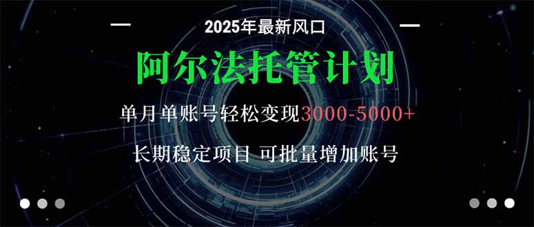 阿尔法托管计划 单账号月入3000-5000,长期稳定项目,新手小白轻松上手。-七七项目网