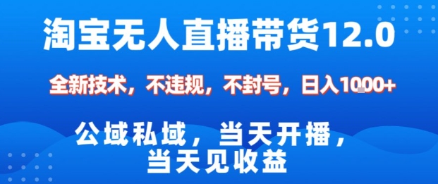 淘宝无人直播12.0，公域私域技术，不封号，不违规布局双十一流量风口，日入1k(独家技术)【揭秘】-七七项目网