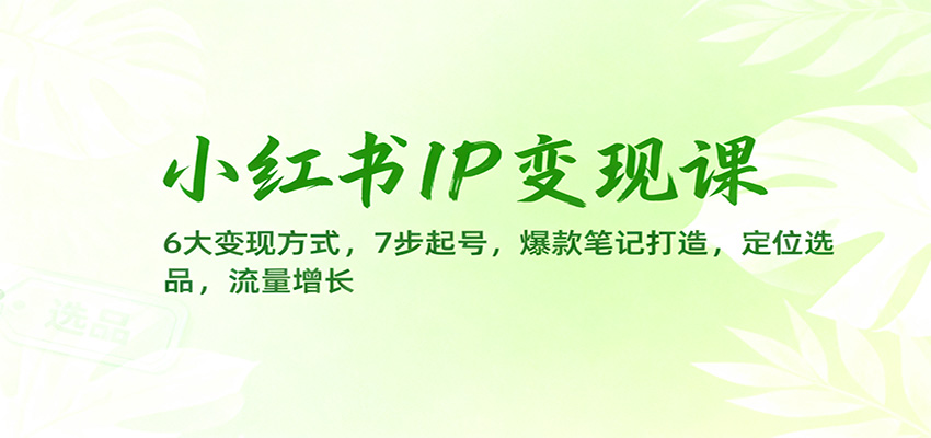 小红书IP变现课：6大变现方式，7步起号，爆款笔记打造，定位选品，流量增长-七七项目网