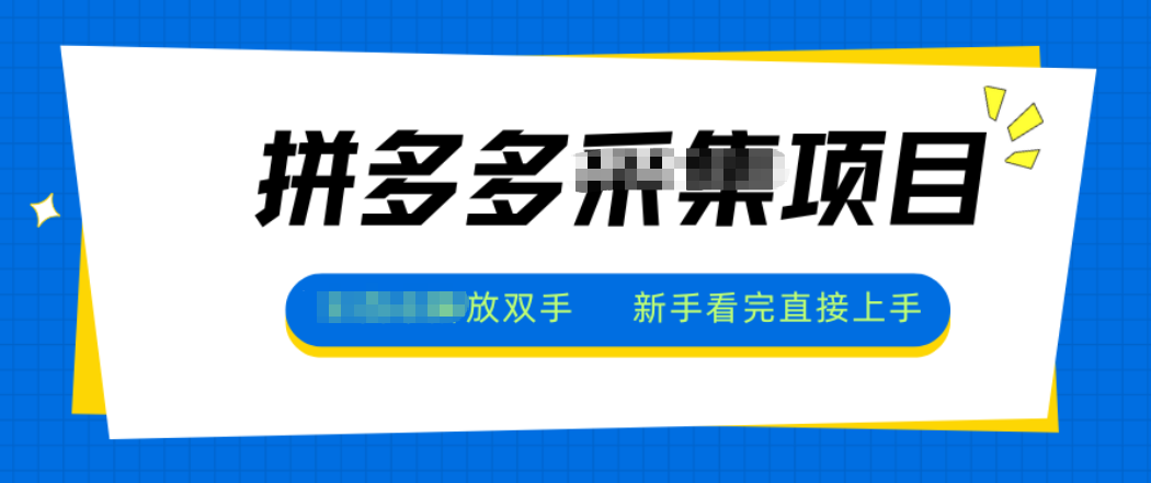 拼多多电商采集，一小时50+，操作简单，零投资-七七项目网