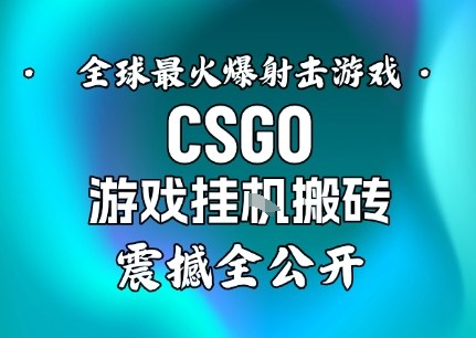 【年底大揭秘】基于全球最火爆的射击CSGO游戏挂G搬砖，日入5张+，震撼公开-七七项目网