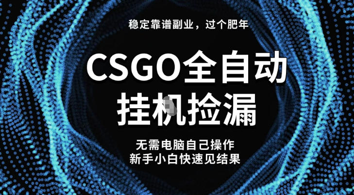 【稳定副业】全球最热门游戏CSGO全自动捡漏，最新玩法，新手小白日入5张+【揭秘】-七七项目网
