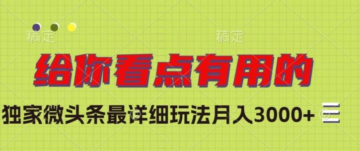 独家微头条最详细玩法，月入3000+【揭秘】-七七项目网