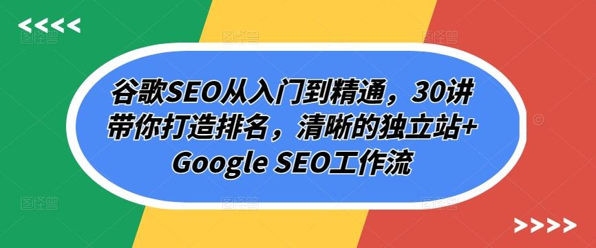 谷歌SEO从入门到精通，30讲带你打造排名，清晰的独立站+Google SEO工作流-七七项目网