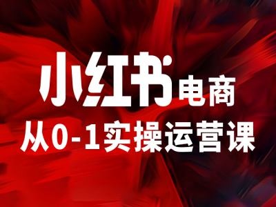 小红书电商从0-1实操运营课，让你从小白到精英-七七项目网