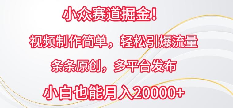 小众赛道掘金，视频制作简单，轻松引爆流量，条条原创，多平台发布【揭秘】-七七项目网