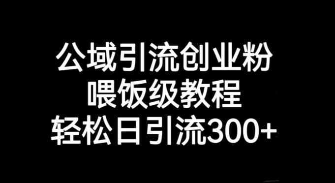 公域引流创业粉，喂饭级教程，轻松日引流300+【揭秘】-七七项目网