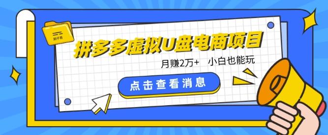 拼多多虚拟U盘电商红利项目：月赚2万+，新手小白也能玩-七七项目网