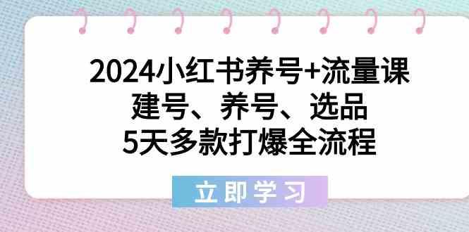 2024小红书养号+流量课：建号、养号、选品，5天多款打爆全流程-七七项目网