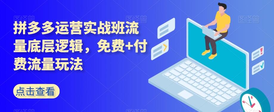 拼多多运营实战班流量底层逻辑，免费+付费流量玩法-七七项目网