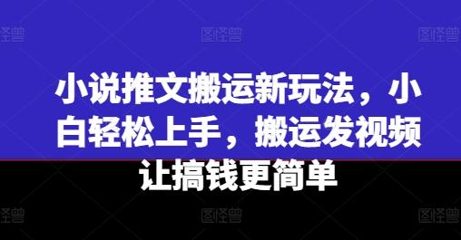 小说推文搬运新玩法，小白轻松上手，搬运发视频让搞钱更简单-七七项目网