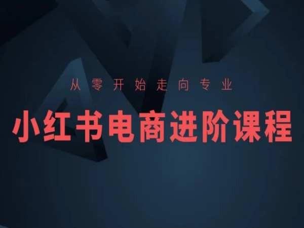 从零开始走向专业，小红书电商进阶课程-七七项目网