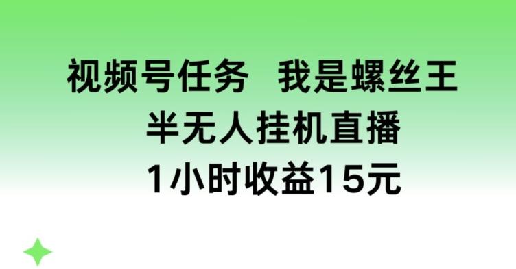 视频号任务，我是螺丝王， 半无人挂机1小时收益15元【揭秘】-七七项目网
