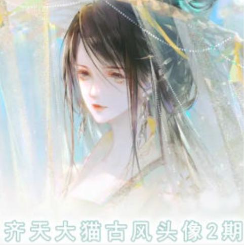 齐天大猫古风头像课第2期，帮助您提高您的绘画技能-七七项目网
