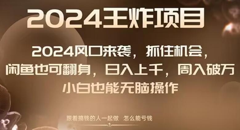 2024风口项目来袭，抓住机会，闲鱼也可翻身，日入上千，周入破万，小白也能无脑操作-七七项目网