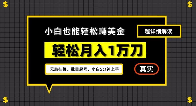 谷歌看广告撸美金2.0，无脑挂机，多号操作，月入1万刀【揭秘】-七七项目网
