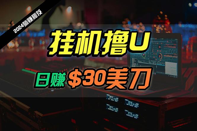 (10013期)日赚30美刀，2024最新海外挂机撸U内部项目，全程无人值守，可批量放大-七七项目网