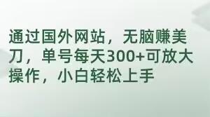 通过国外网站，无脑赚美刀，单号每天300+可放大操作，小白轻松上手【揭秘】-七七项目网