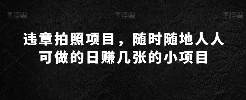 违章拍照项目，随时随地人人可做的日赚几张的小项目-七七项目网