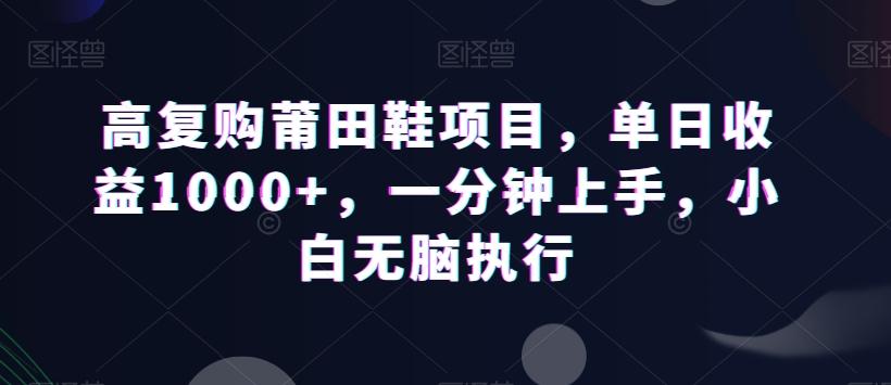 高复购莆田鞋项目，单日收益1000+，一分钟上手，小白无脑执行-七七项目网