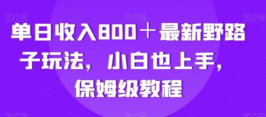 单日收入800＋最新野路子玩法，小白也上手，保姆级教程-七七项目网