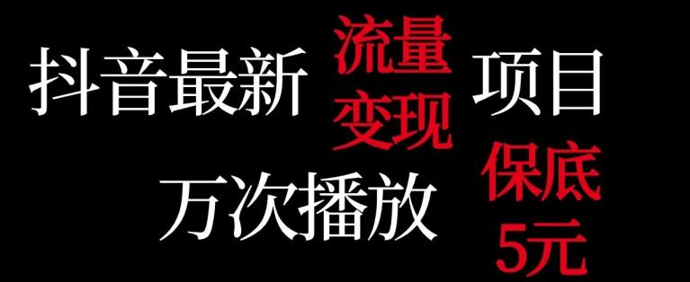 抖音流量变现，万次播放保底5元，额外收入-七七项目网