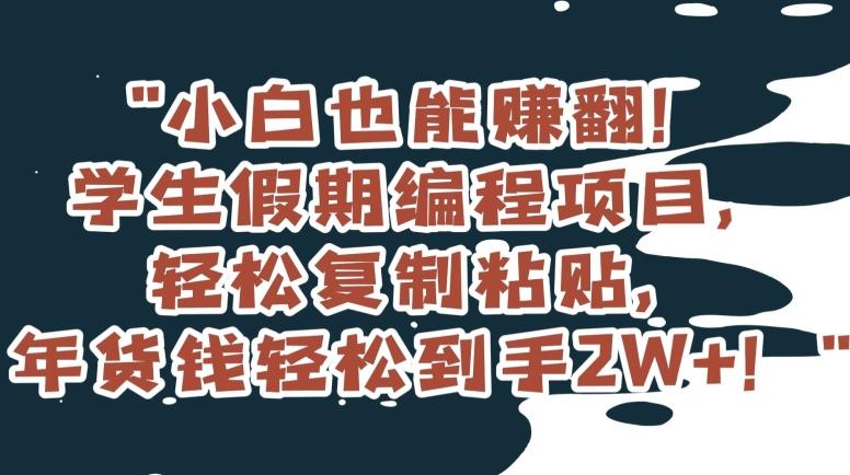 小白也能赚翻！学生假期编程项目，轻松复制粘贴，年货钱轻松到手2W+【揭秘】-七七项目网