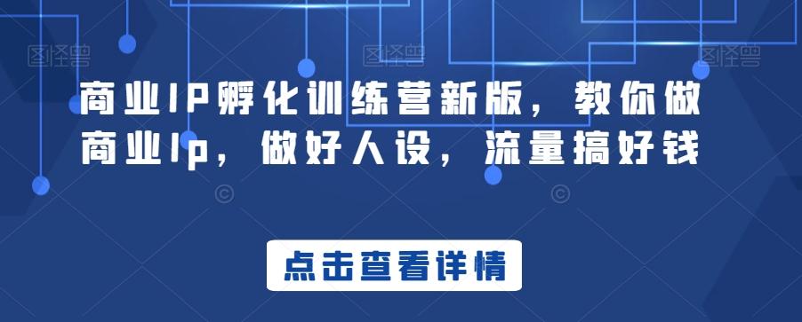 商业IP孵化训练营新版，教你做商业Ip，做好人设，流量搞好钱-七七项目网
