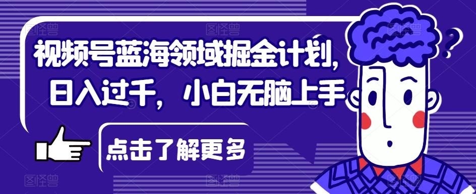 视频号蓝海领域掘金计划，日入过千，小白无脑上手【揭秘】-七七项目网