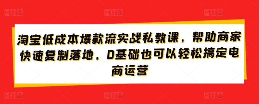 淘宝低成本爆款流实战私教课，帮助商家快速复制落地，0基础也可以轻松搞定电商运营-七七项目网