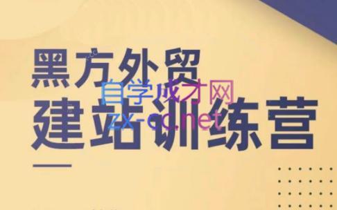 黑方老师·谷歌B端独立站建站推广-七七项目网