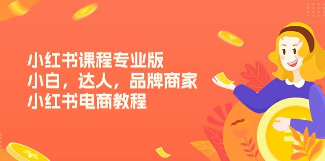 小红书课程专业版，小白，达人，品牌商家，小红书电商教程(15节-七七项目网