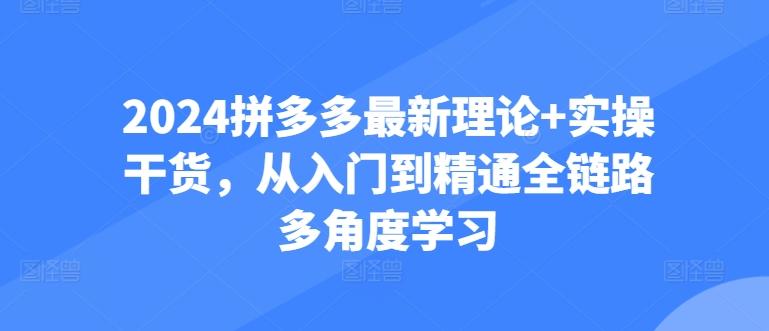 2024拼多多最新理论+实操干货，从入门到精通全链路多角度学习-七七项目网