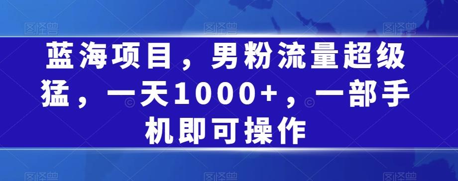 蓝海项目，男粉流量超级猛，一天1000+，一部手机即可操作【揭秘】-七七项目网