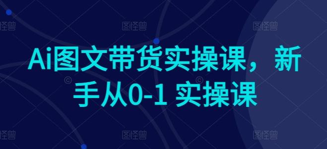 Ai图文带货实操课，新手从0-1 实操课-七七项目网