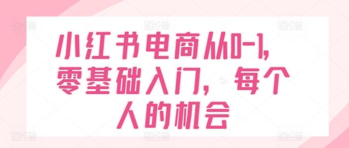 小红书电商从0-1，零基础入门，每个人的机会-七七项目网