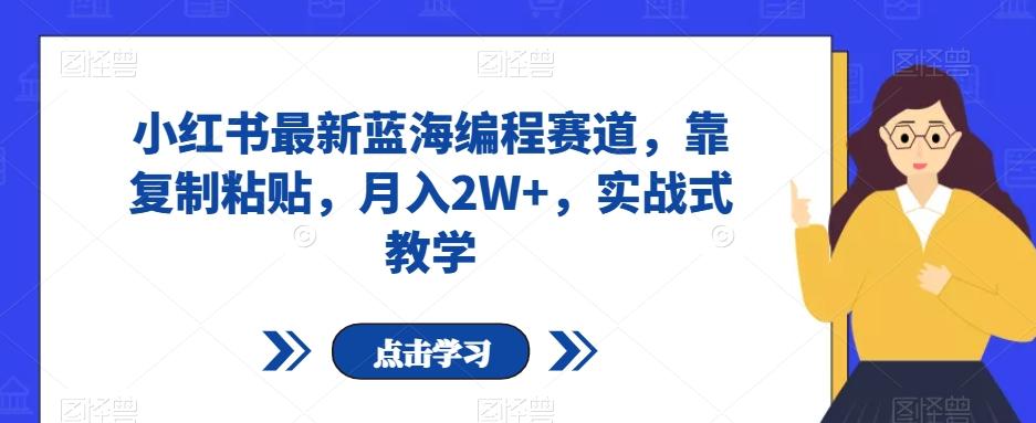 小红书最新蓝海编程赛道，靠复制粘贴，月入2W+，实战式教学【揭秘】-七七项目网