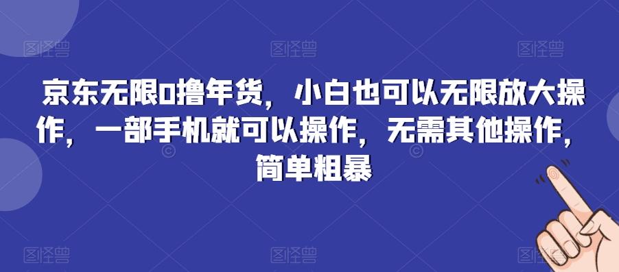 京东无限0撸年货，小白也可以无限放大操作，一部手机就可以操作，无需其他操作，简单粗暴-七七项目网