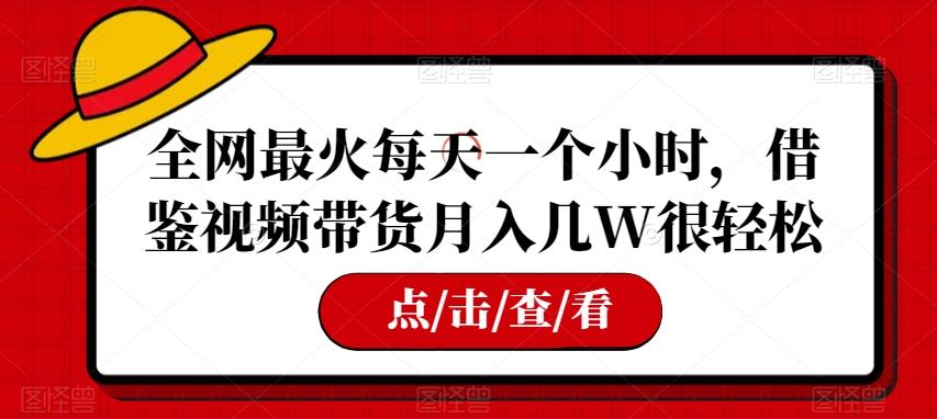 全网最火每天一个小时，借鉴视频带货月入几W很轻松【揭秘】-七七项目网
