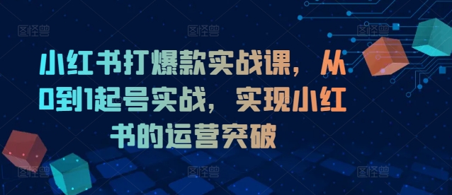 小红书打爆款实战课，从0到1起号实战，实现小红书的运营突破-七七项目网