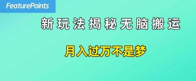 简单操作，每天50美元收入，搬运就是赚钱的秘诀【揭秘】-七七项目网